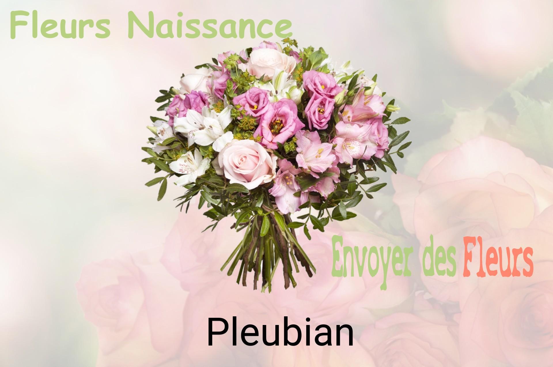 Bouquet de fleurs de naissance livré à Pleubian